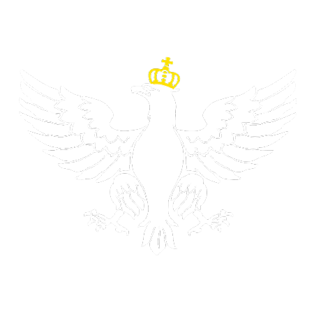 Ruch Narodowy